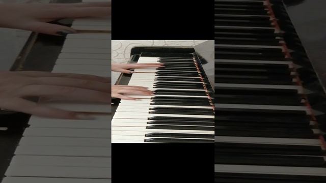 VID_20241129_143731.mp4