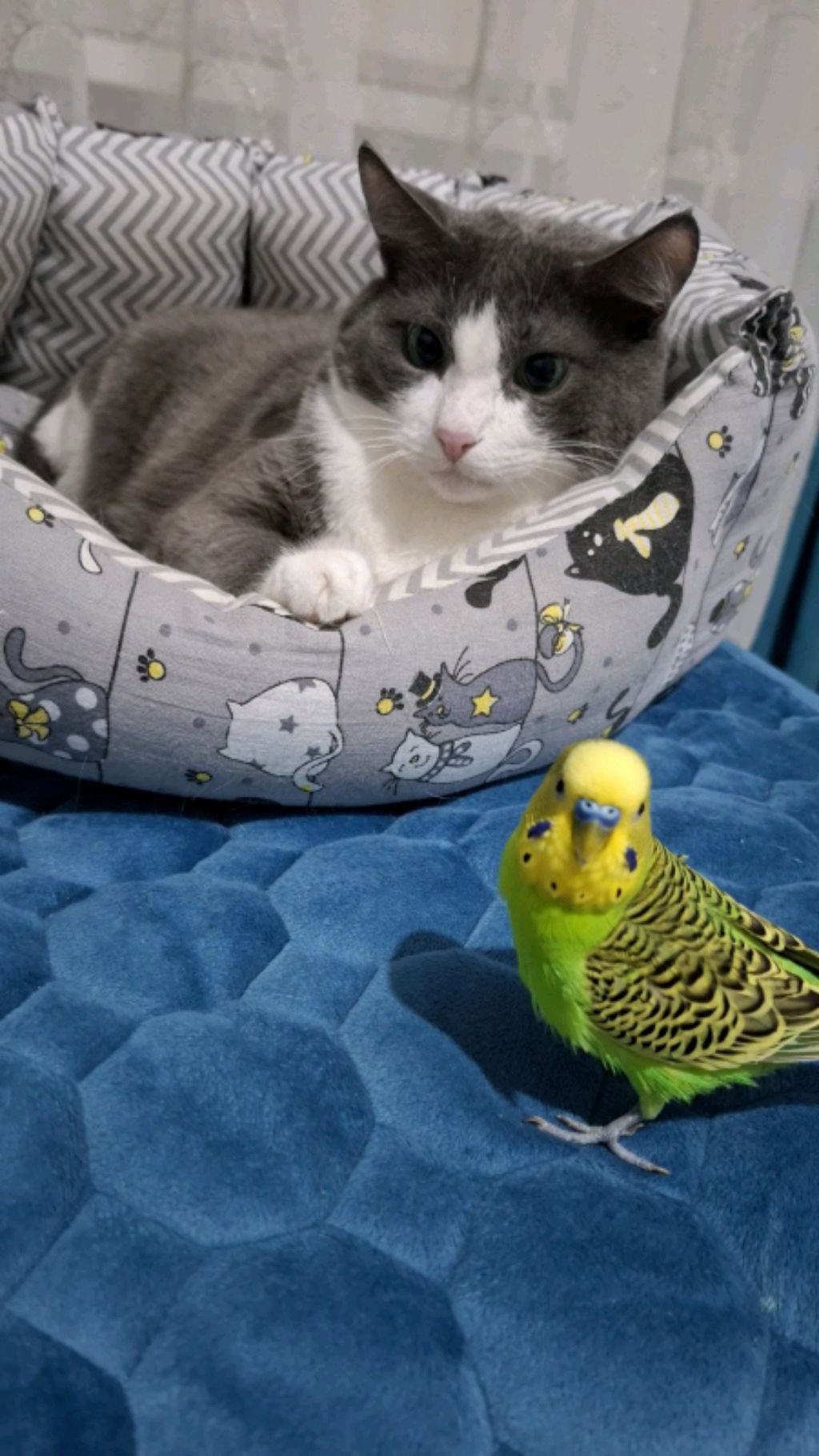 Привет! Я, Кеша!😀