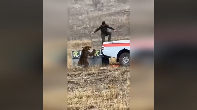 😅Мишаня не готов к свободе.

Как-то рановато его отпустили, он не собирался еще никуда уходить.