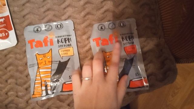 корм для бездомных кошек 🐈🐈⬛