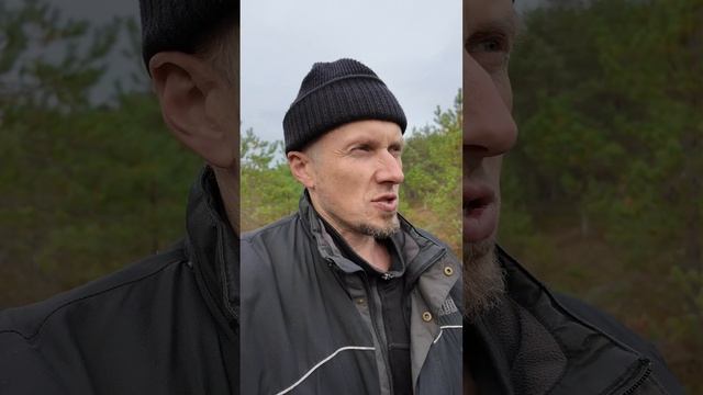 Мозг не может придумывать