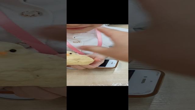 VID_20241118_075834.mp4
