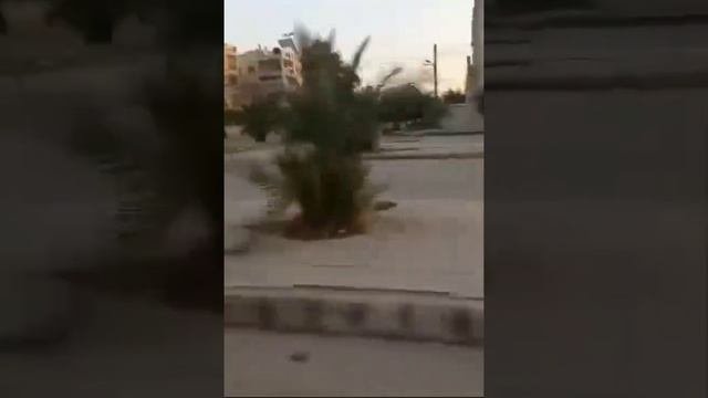 فيديو_واتساب_بتاريخ_1446_05_27_في_17_32_22_51c01624