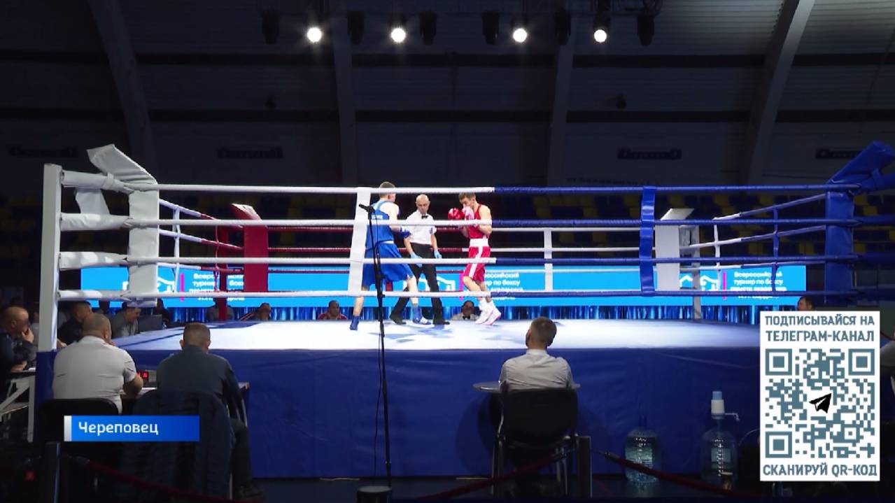 Чемпионат и Первенство области по боксу стартуют в Череповце