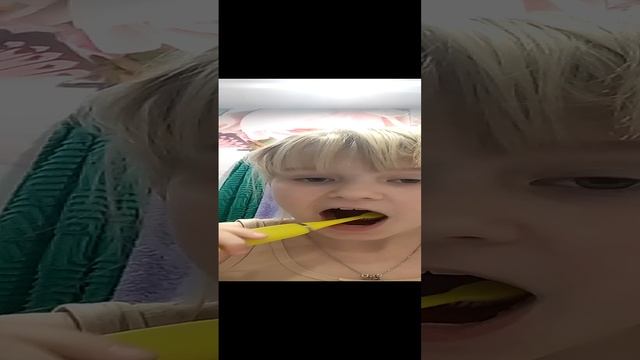 VID_20241129_192233.mp4