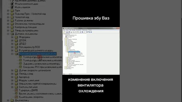 прошивка ЭБУ Ваз январь интелма.mp4