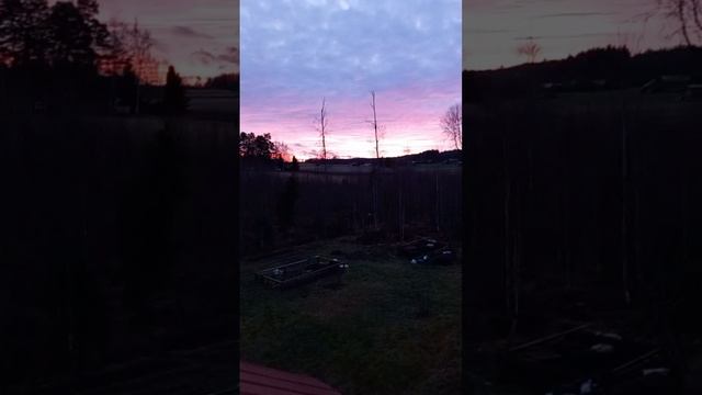 1000032879.mp4