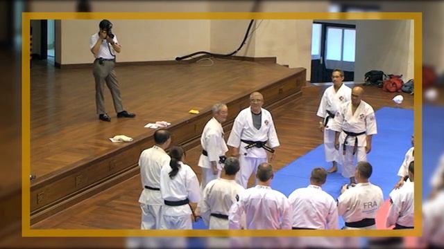 Shorinji Kempo techniques. Kiri Gote, kiri kaeshi nuki. Yamasaki, Kawashima sensei. 少林寺拳法 技. 武道少林寺拳法