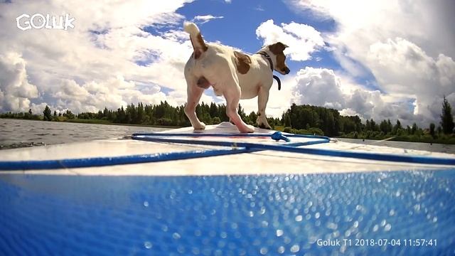 Мы с Ричи освоили новый вид активного отдыха SUP