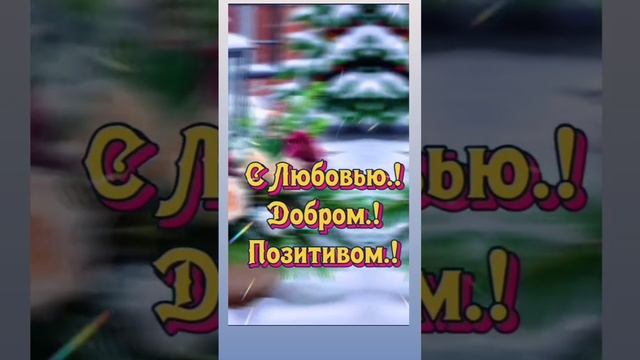 29-11-2024 доброе утро