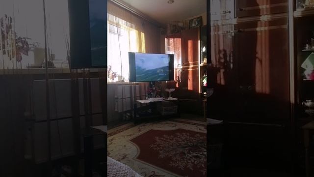 Филим называется кавказские пленики