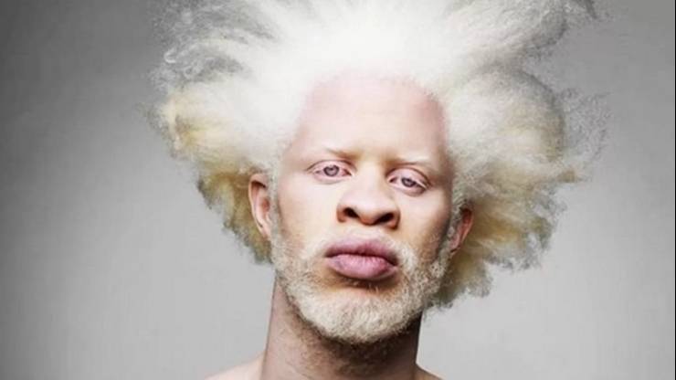 1129