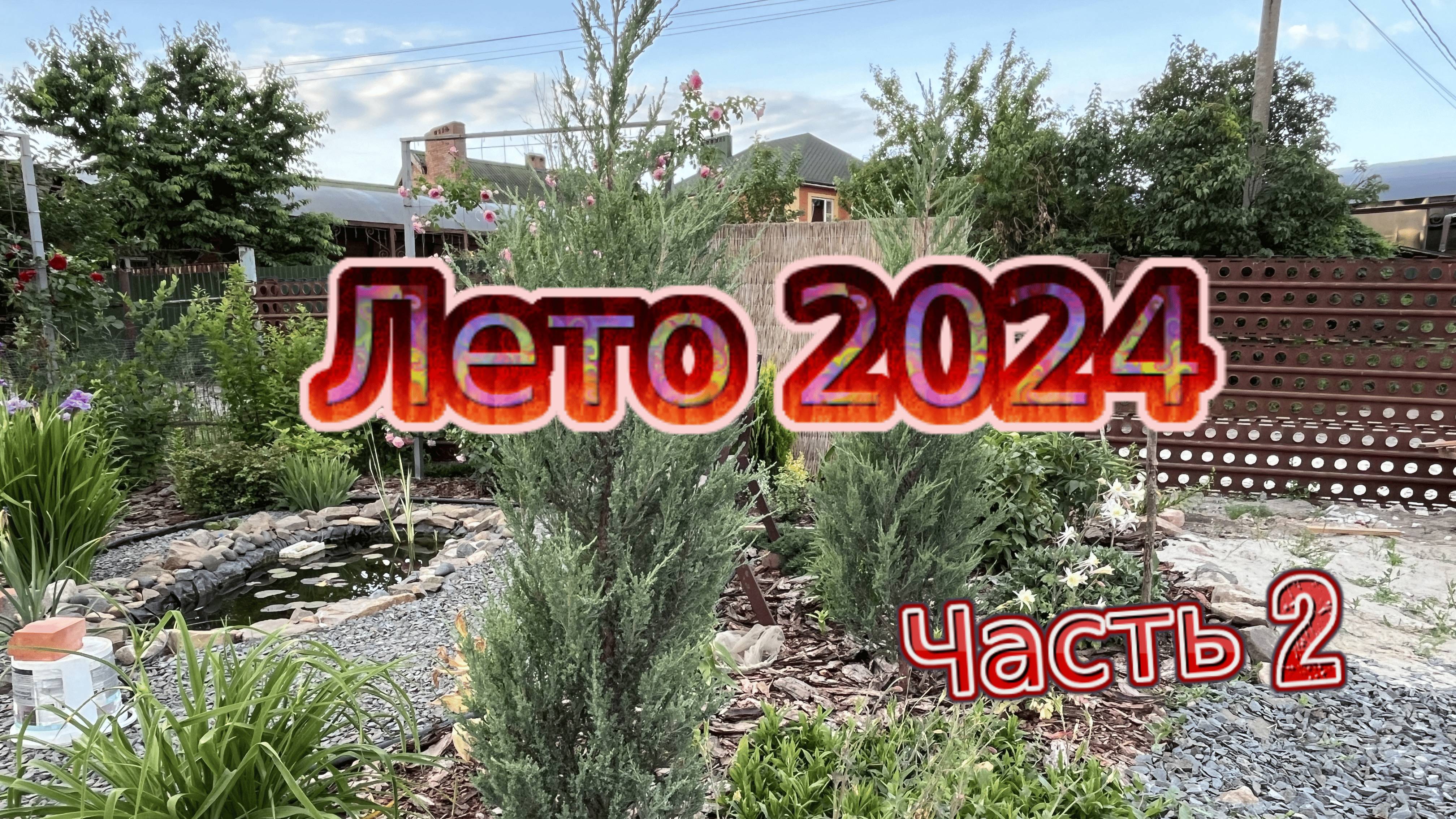 Лето 2024, Часть2