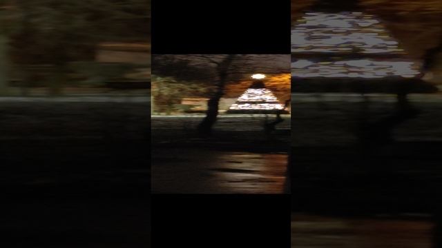 29-11-2024