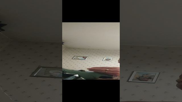 29-11-2024