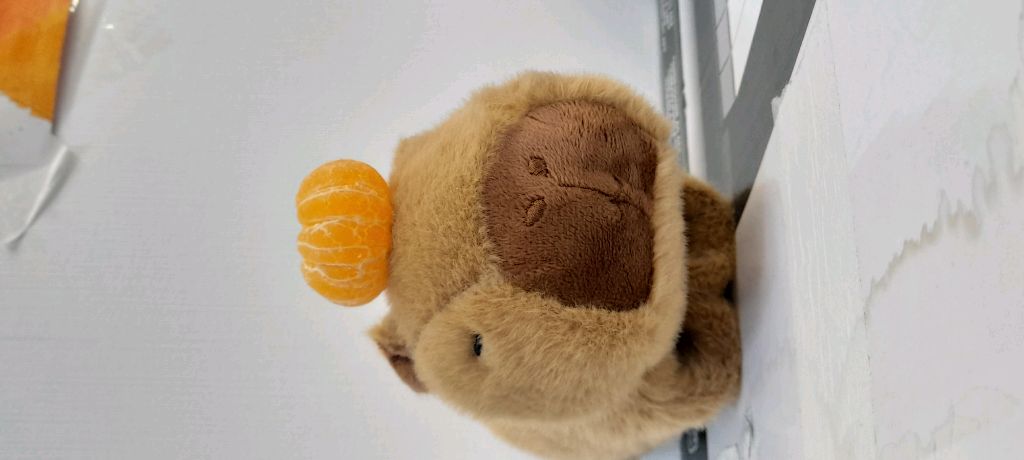 ШКОЛА С ЛЕНОЙ