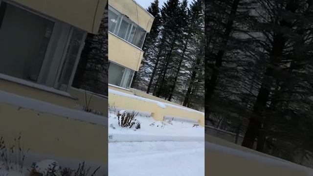 🫶❤️Полное видео на канале VLOG-28-11-23.Мир звуков-Самый лучший массажист в санатории Дорохово и 🍸