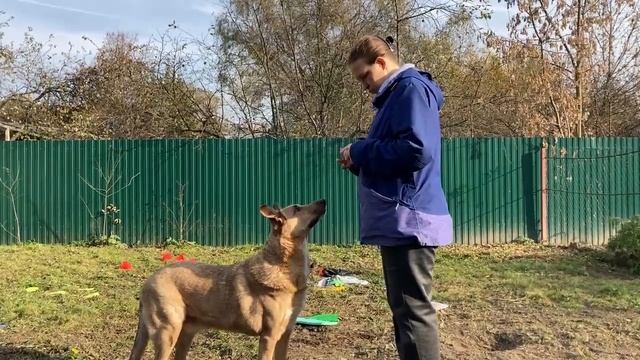 не подбор этап 1