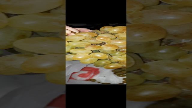 Виноград Аркадия (он же "Настя")