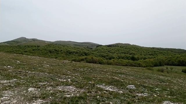 По Караби - яйле. 28.04.24.
