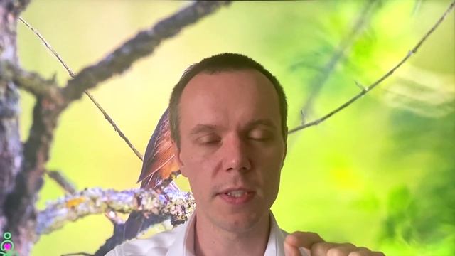 Как снять стресс и медитировать, чтобы не обращать внимания на войну?
