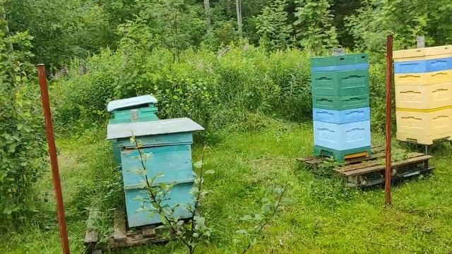 вот такой он главный взяток в Ленинградской области.