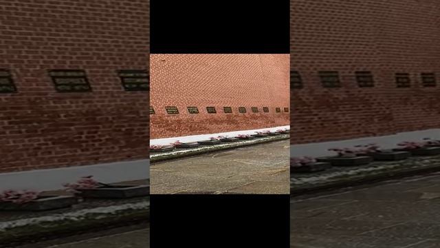 Москва. Красная площадь. 28.11.2024 г.