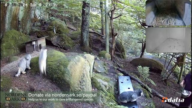 Сейчас кипер будет съеден!