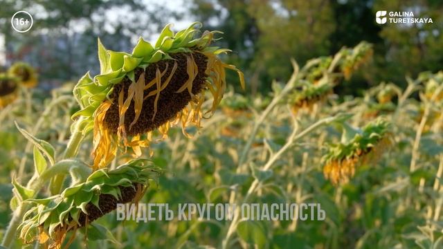 Что выбираете вы?