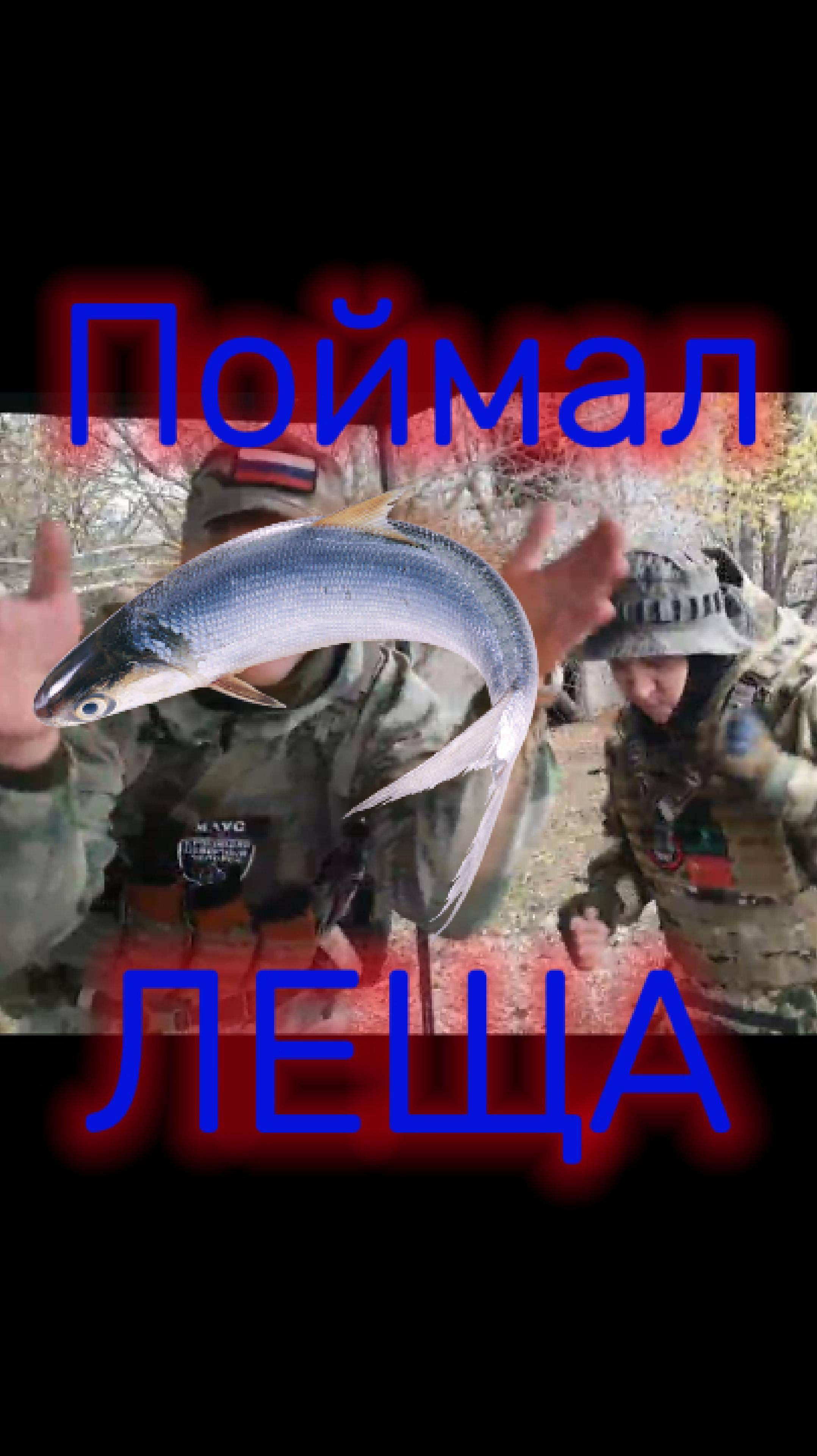 Язь