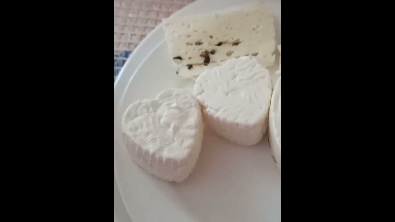 ИНГУШЕТИЯ/ ПЕРВЫЕ И  ПОСЛЕДНИЕ НОВОСТИ НА СЕГОДНЯ