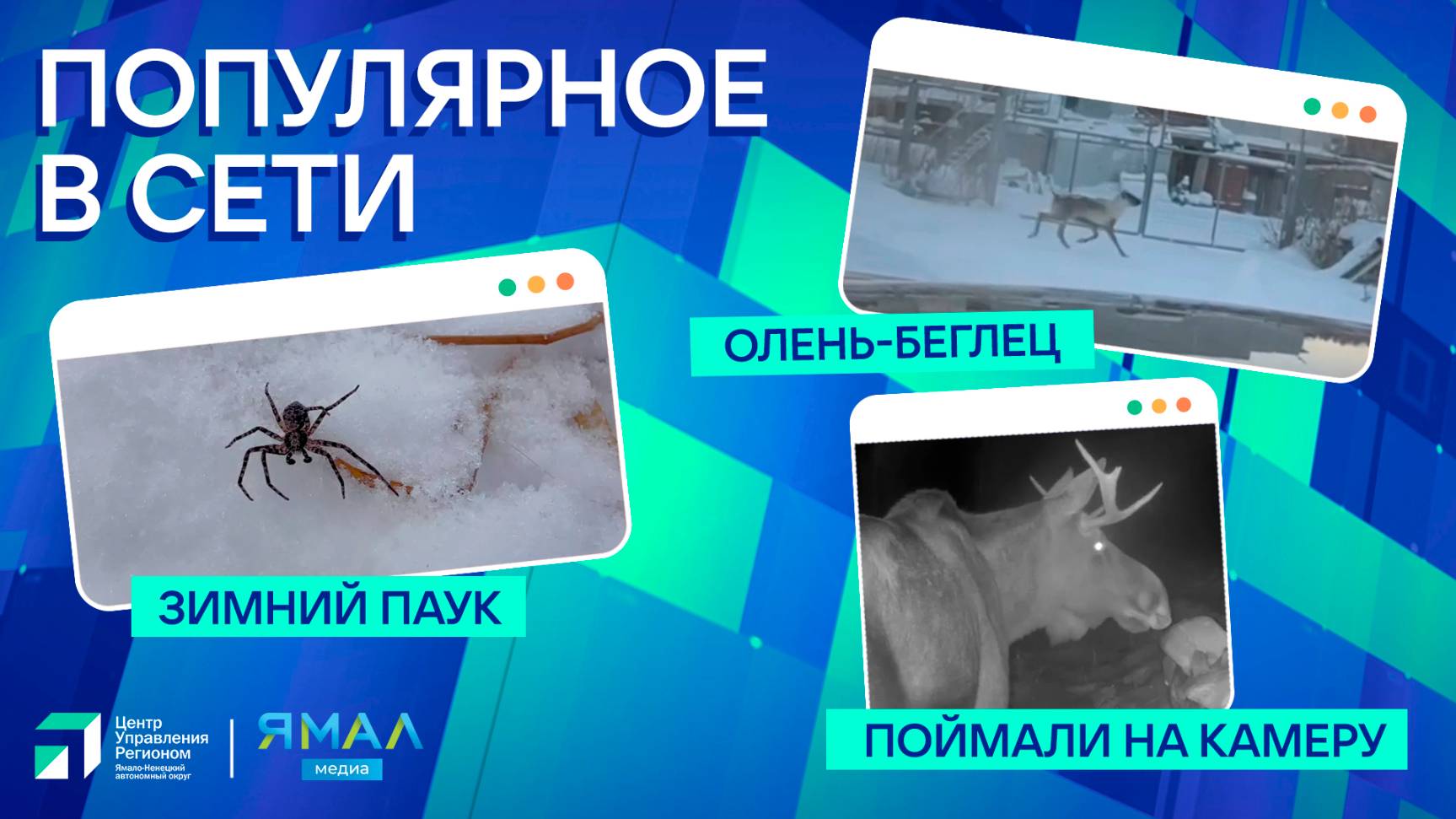 "Ямал-Медиа" продолжает обозревать главные тренды в интернете