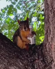 Если пошла такая пьянка, то вечеринка обещает быть очень интересной 💯🔥💯