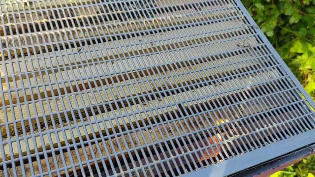 в гнезде у пчел сухо