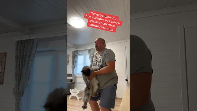 кто лучше собаки или кошки???