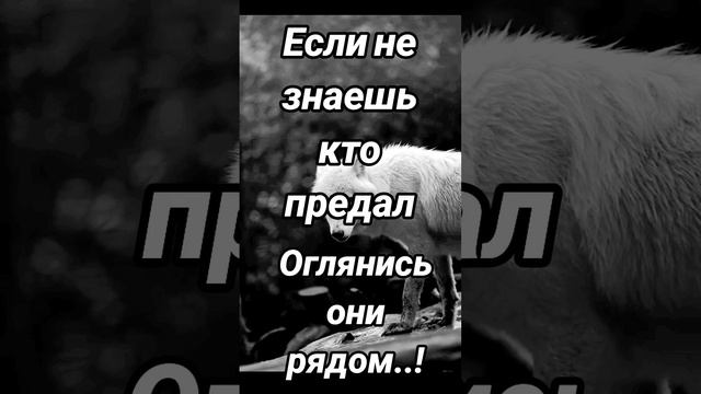 https://youtube.com/@yyuh-j9y?si=NwTuRU1ISZpeKlOL