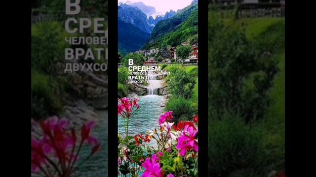 трендовая музыка и трендовое видео #трендовая музыка #трендовое видео #