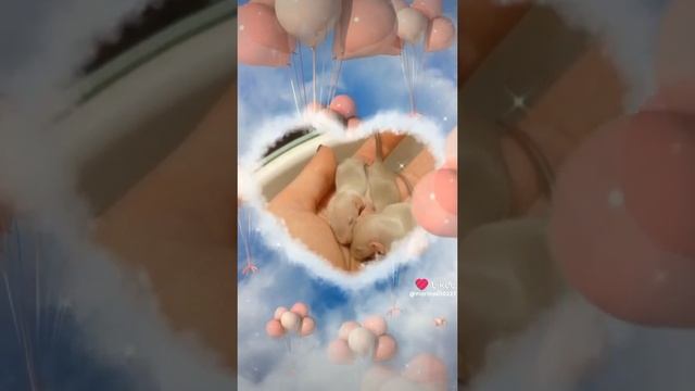 1000026730.mp4
