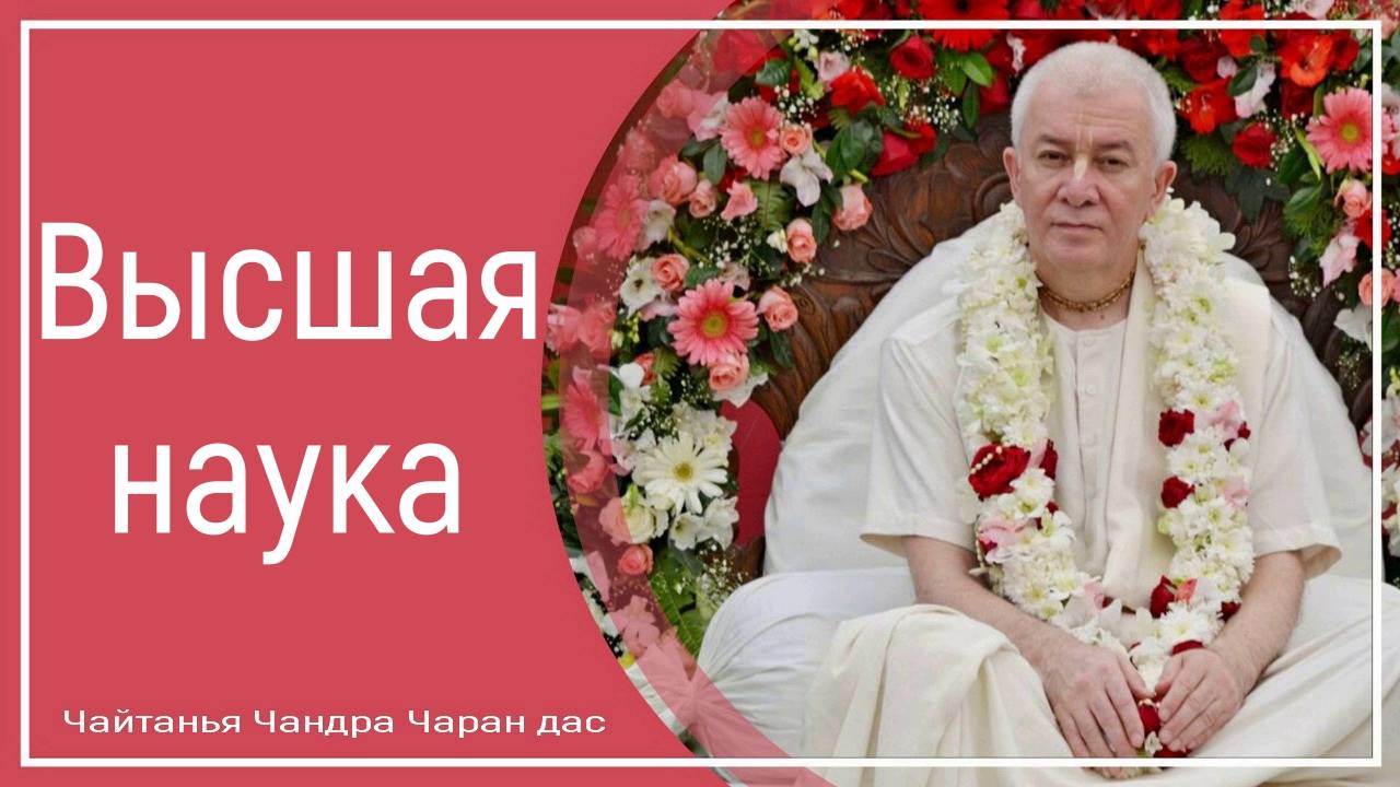 Высшая наука