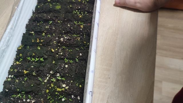 1000562433.mp4