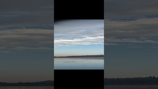 29-11-2024