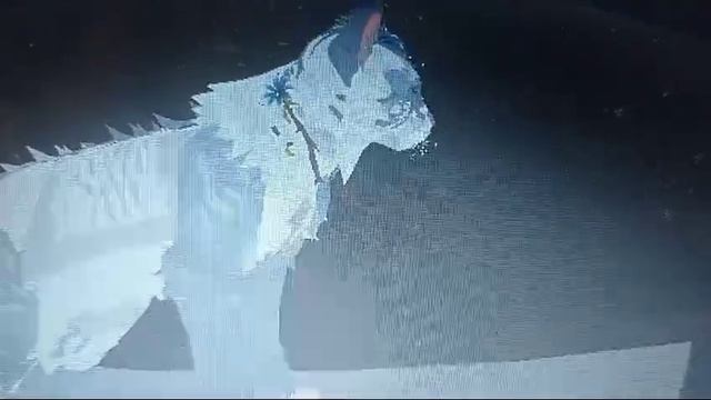 1000014098.mp4. переношу