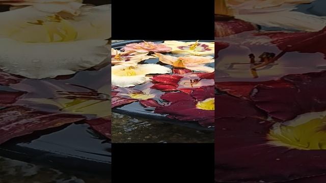VID_20210718_163050.mp4