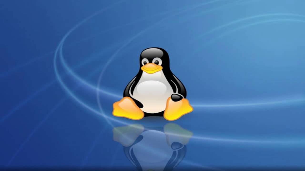 КАК УДАЛИТЬ СЛЕДЫ в Linux