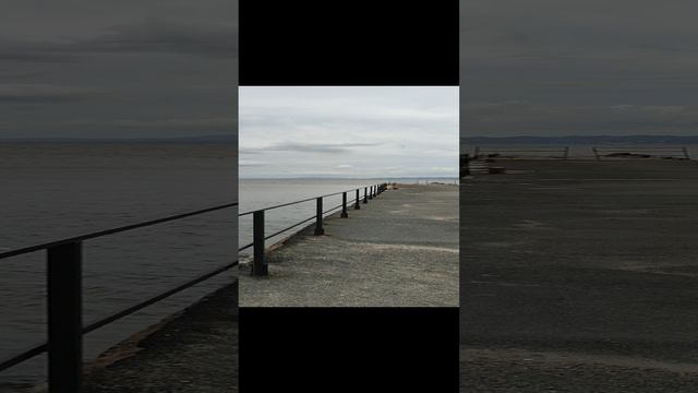1000130022.mp4