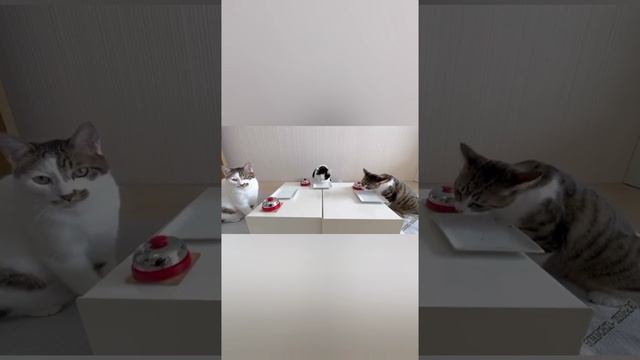 Хорошего настроения