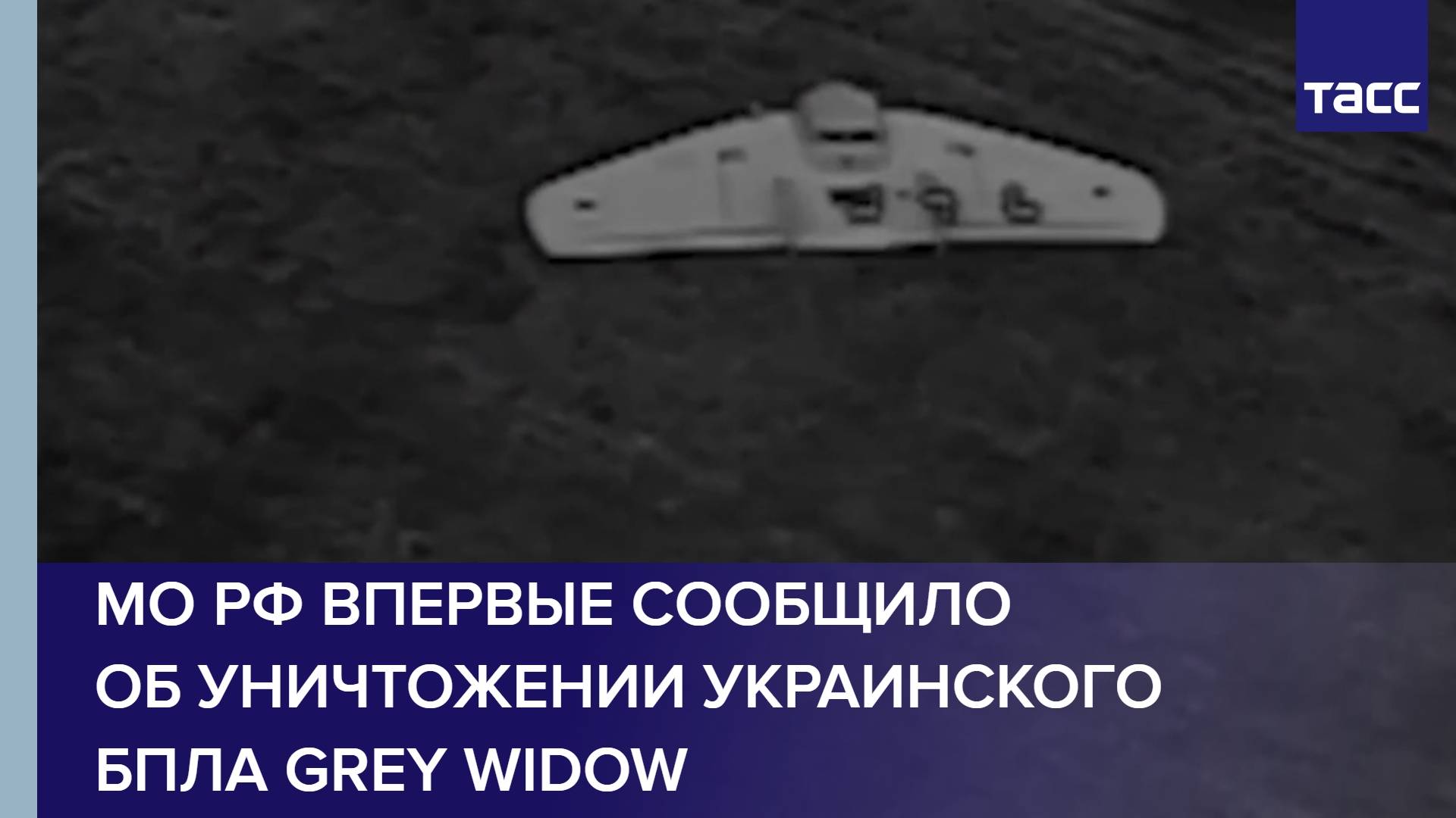 МО РФ впервые сообщило об уничтожении украинского БПЛА Grey Widow