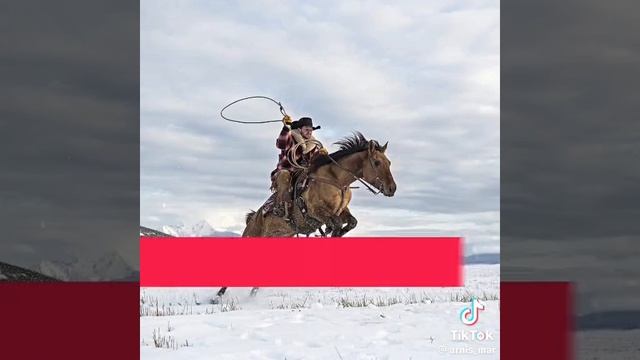 Малоизвестные слова