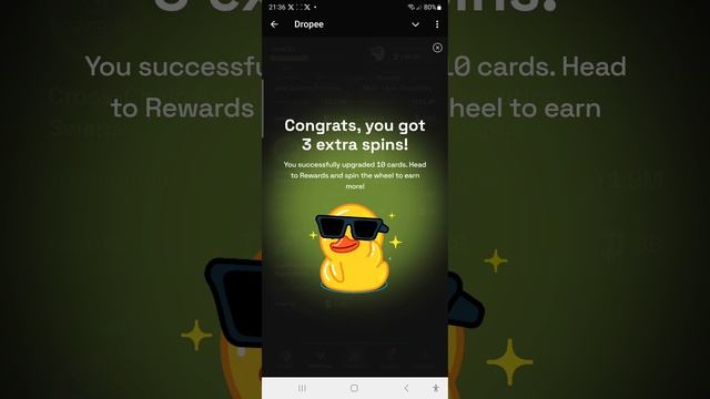Dropee Daily Combo. 29 ноября. Dropee AirDrop Game