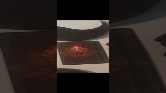 20241129_131227.mp4 Верен ли вам мужчина